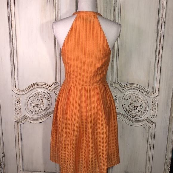 Cynthia Steffe Tangerine 🍊 Orange High Neck  Pleated Shirtwaist Sun Dress S/2 - Picture 8 of 14